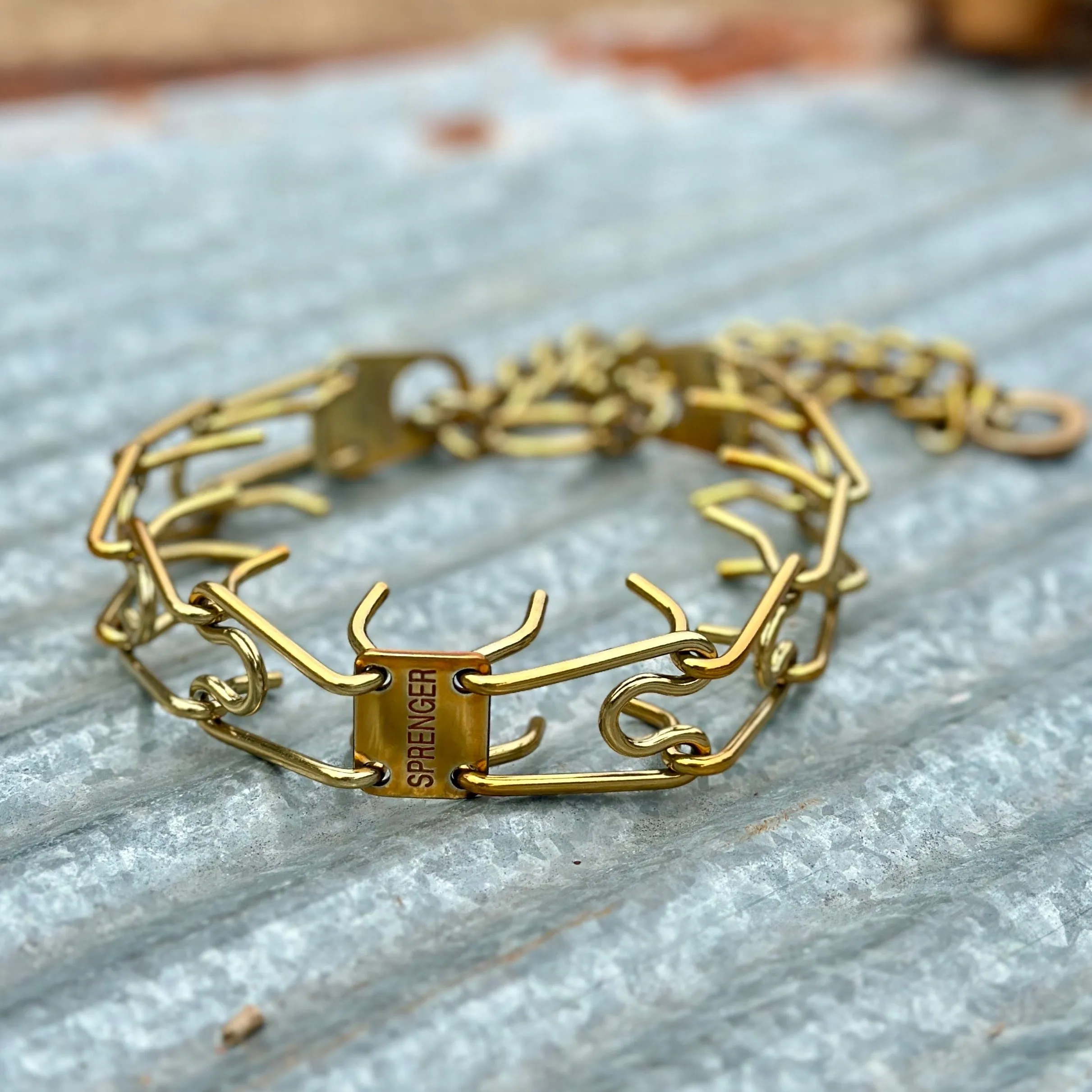 14K Gold Custom Powder Coated Herm Sprenger Prong Collar for Dogs