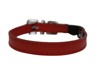 Angel Alpine Cat Collar - Various Colours (10" x 1/2")