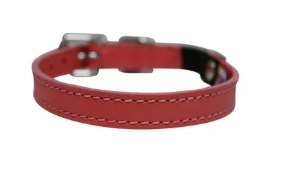 Angel Alpine Cat Collar - Various Colours (10" x 1/2")