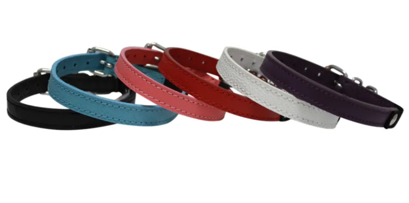 Angel Alpine Cat Collar - Various Colours (10" x 1/2")