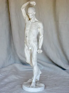 Antique French anatomical sculpture of a man in plaster