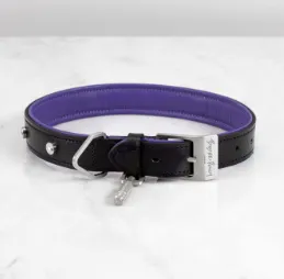 DOG COLLAR/MEDIUM