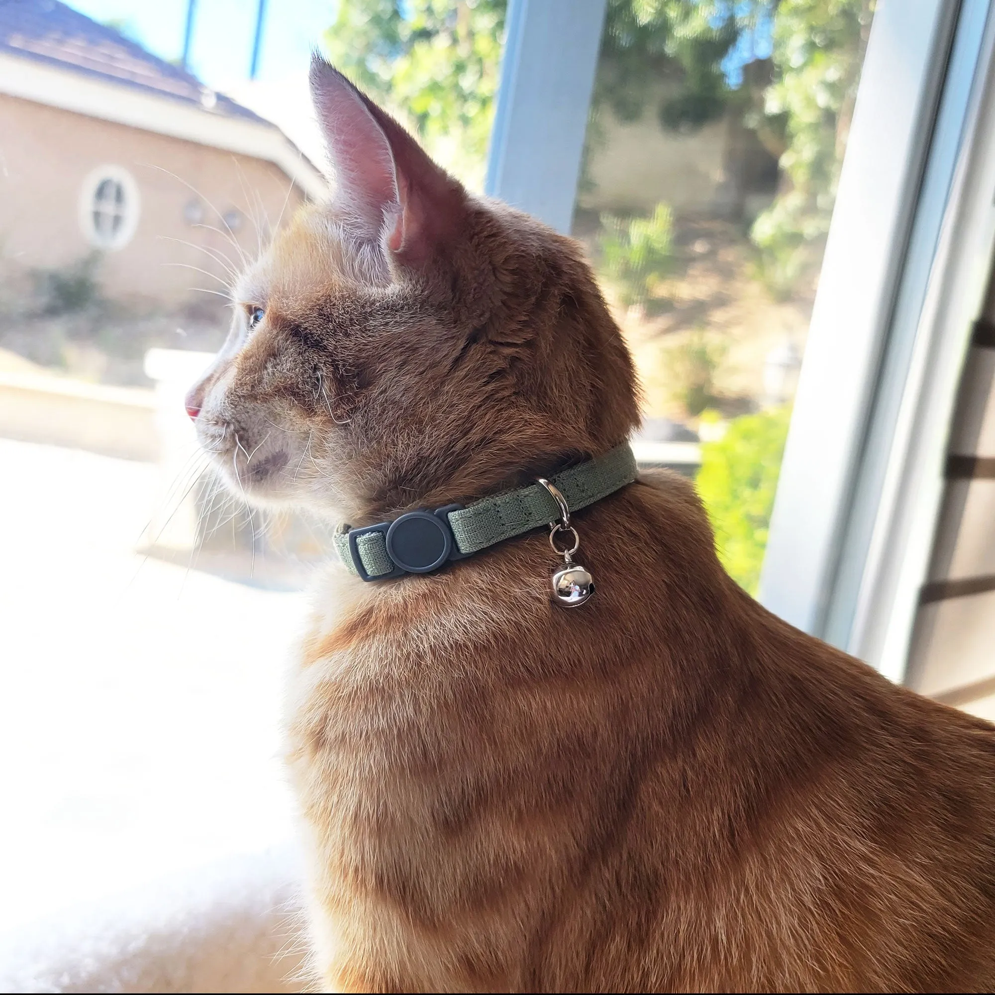 Linen Blend Adjustable Cat Collar with Breakaway Quick Release Buckle and Bell, Green Tea