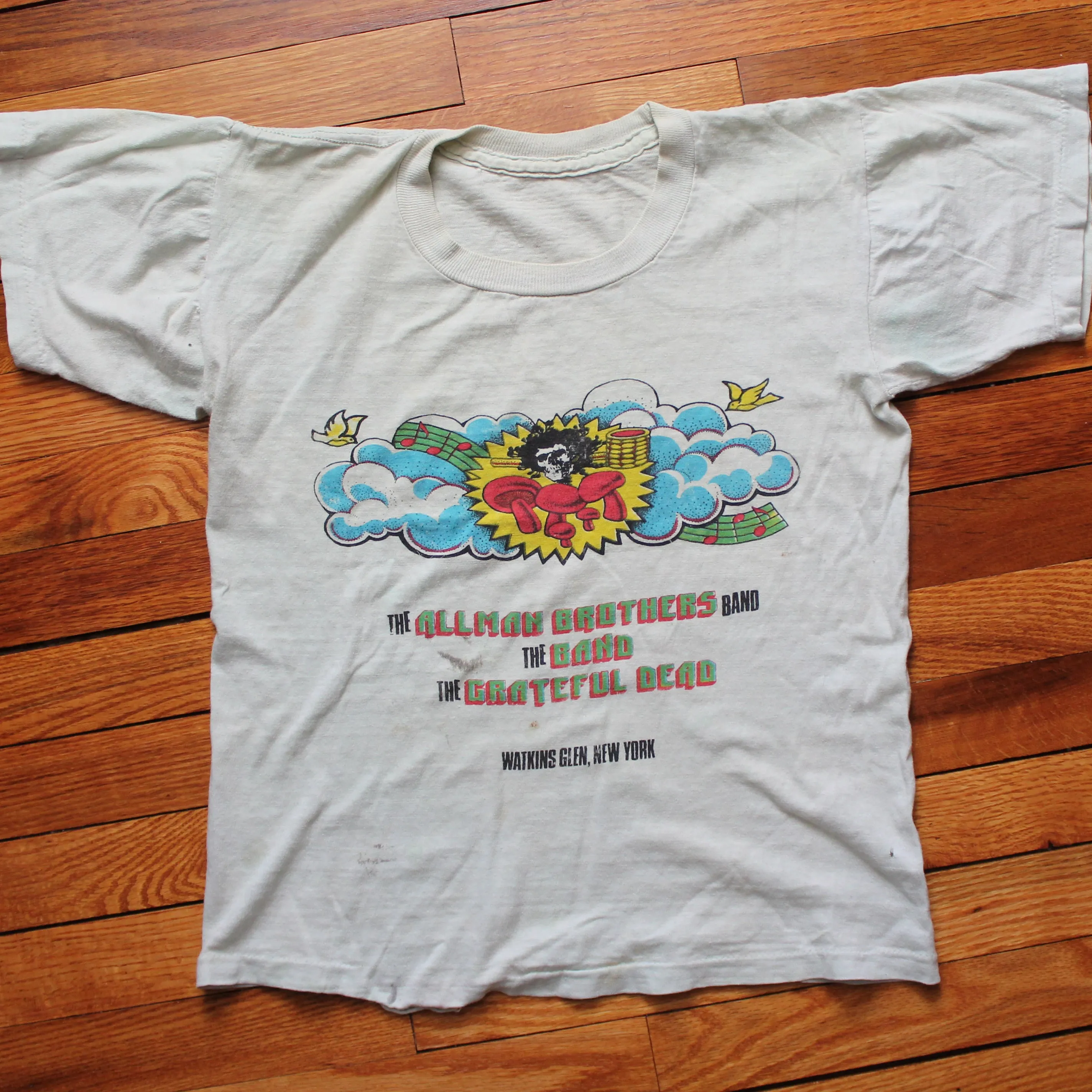 Original 1973 Watkins Glen Summer Jam shirt