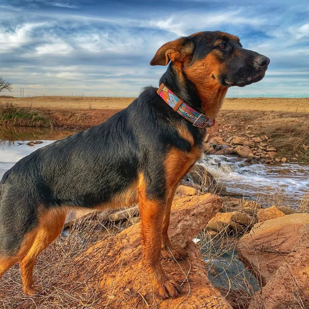Outback Tails