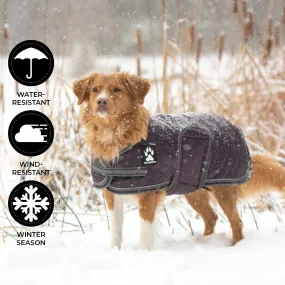 Shedrow K9 Vail Dog Coat Wine Tasting