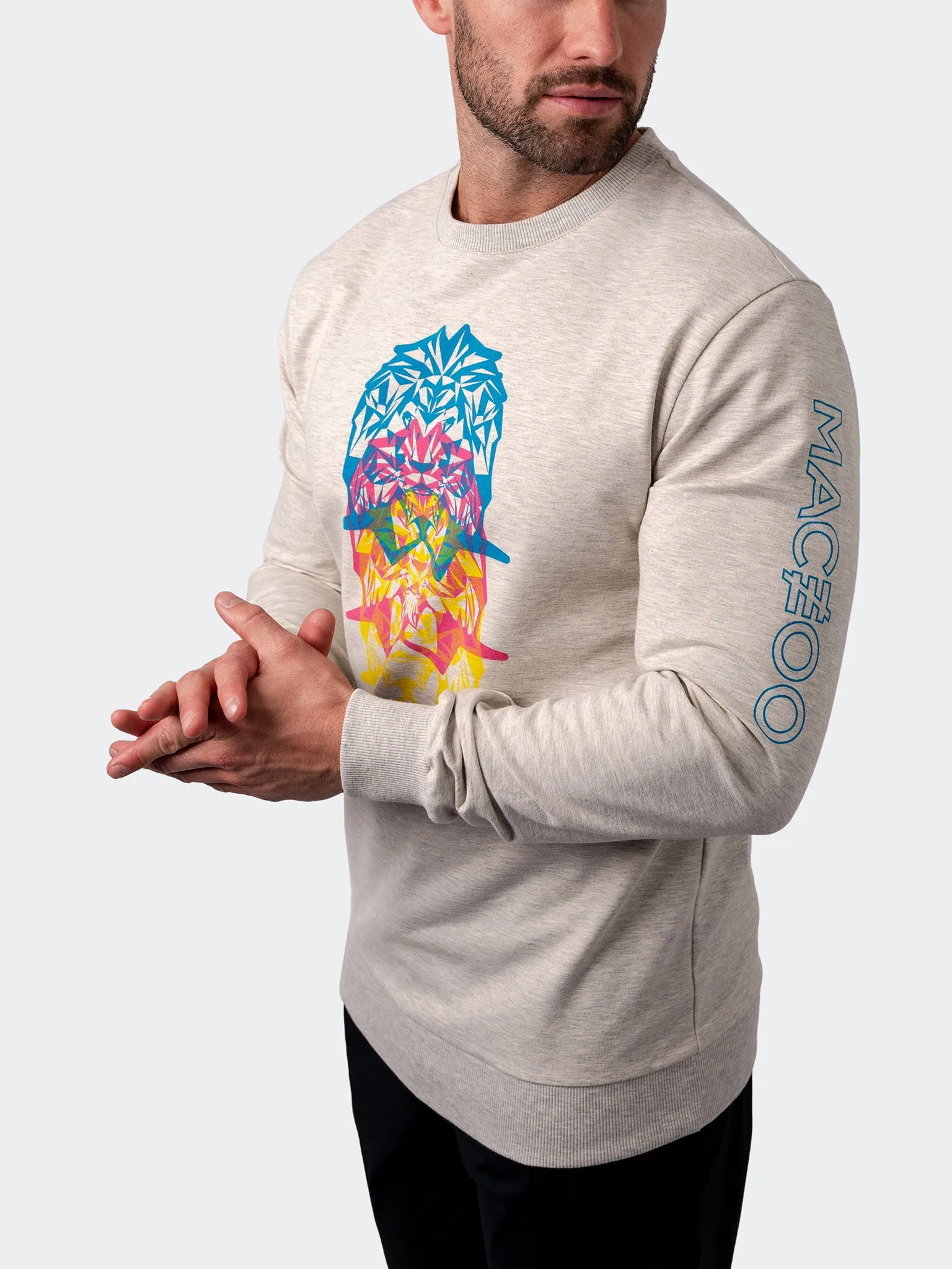 Sweater MirageLion Grey