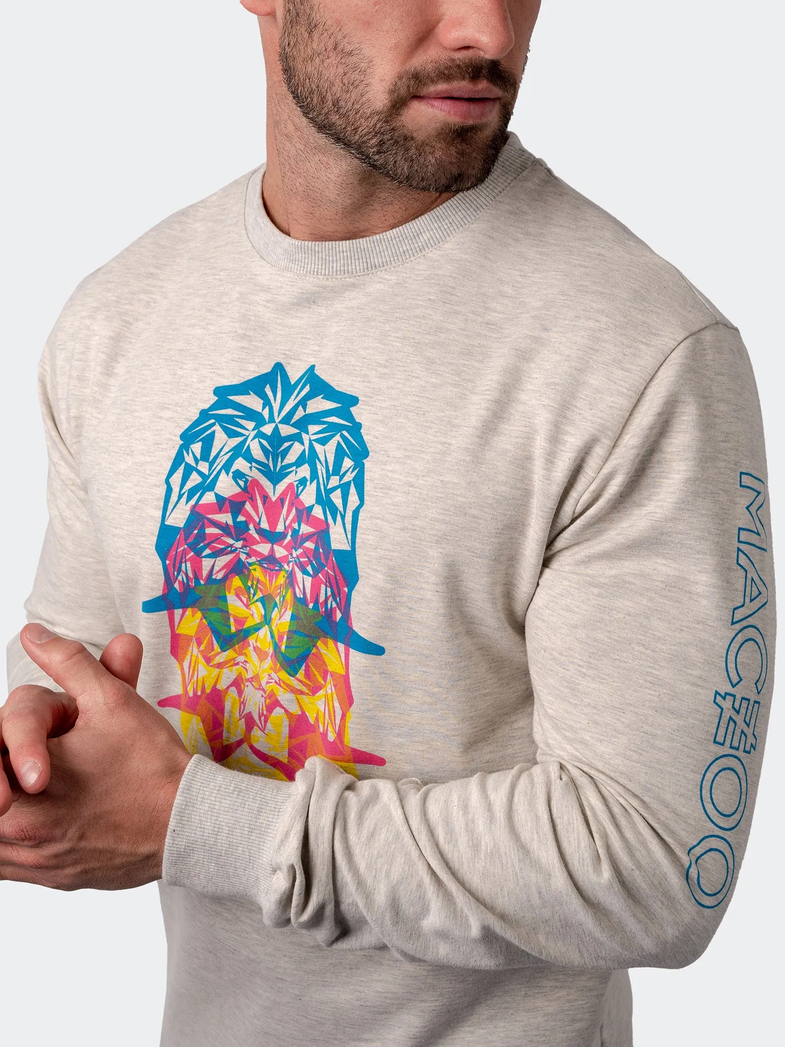 Sweater MirageLion Grey